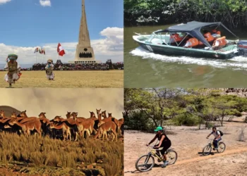 Collage de turismo en Perú mostrando paisajes, fauna andina y actividades.