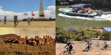Collage de turismo en Perú mostrando paisajes, fauna andina y actividades.