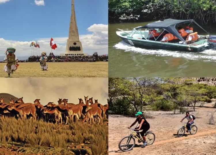 Collage de turismo en Perú mostrando paisajes, fauna andina y actividades.
